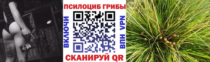 сайты даркнета какой сайт  Ессентукская  Псилоцибиновые грибы Psilocybe  гидра онион 
