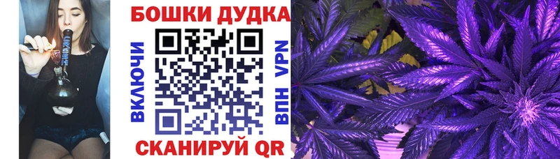 ссылка на мегу зеркало  Ессентукская  Марихуана индика 